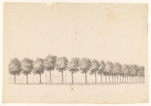 Tree Avenue at Batavia