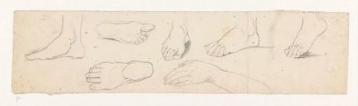 Studies of a foot