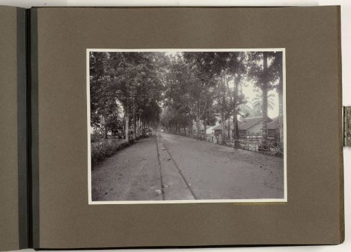 Kampong Banjoepoetih Kanarielaan