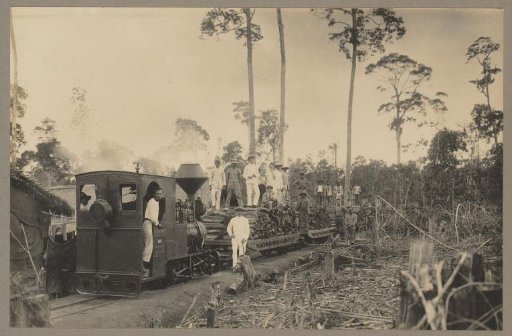 Section of the Diniang line with a firewood train