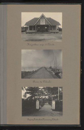 Kongsi house, tree, and hospital of the mining company in Toboali