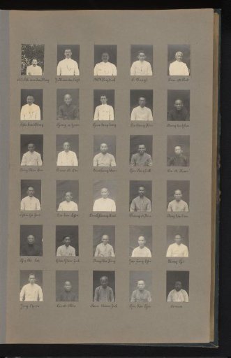 Passport photographs of staff