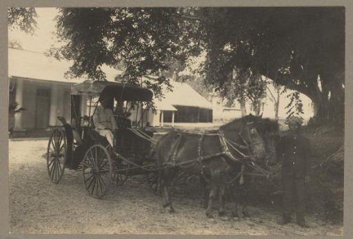 Carriage and horses of the Chief of Banka tin mining