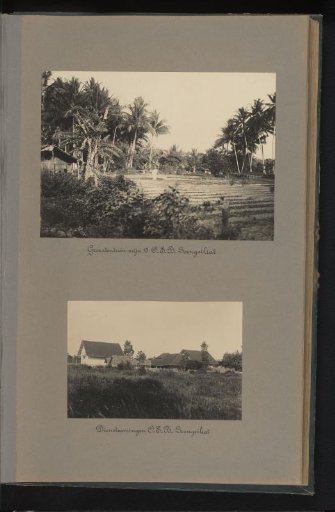 Vegetable Garden and Staff Housing of the Bangka Tin Mining Company at Soengeiliat