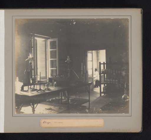 Blinjoe. Laboratory