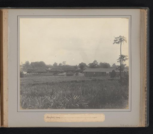 Pangkalpinang. Hospital Complex with a Pineapple Field in the Foreground
