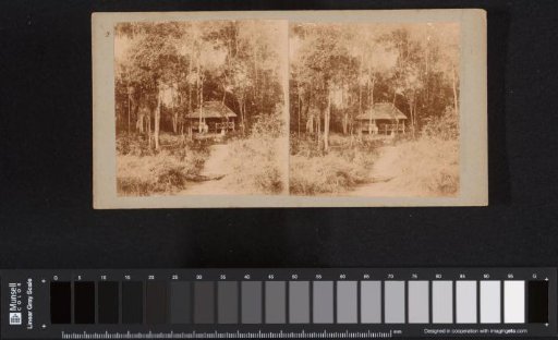 Pondok in the forest