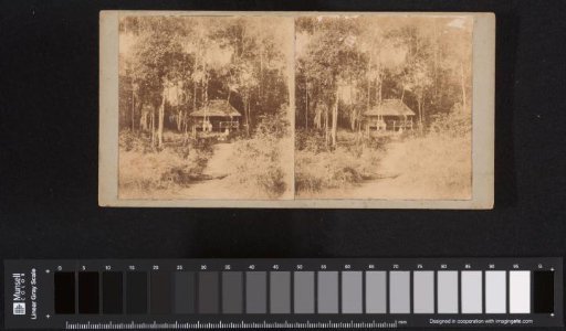 Pondok in the forest