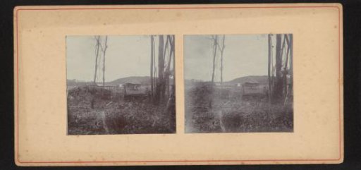 House at the edge of the forest