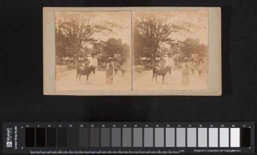 Boy on horseback