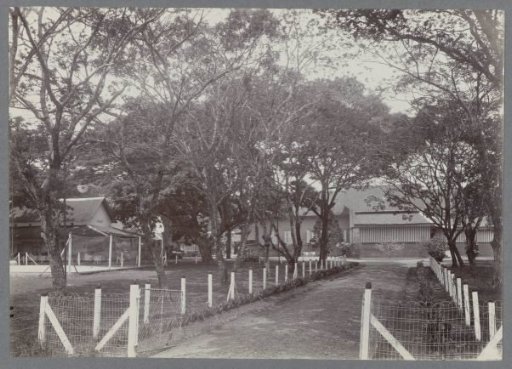 Buildings among trees