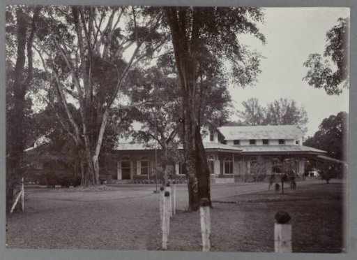 Buildings among trees