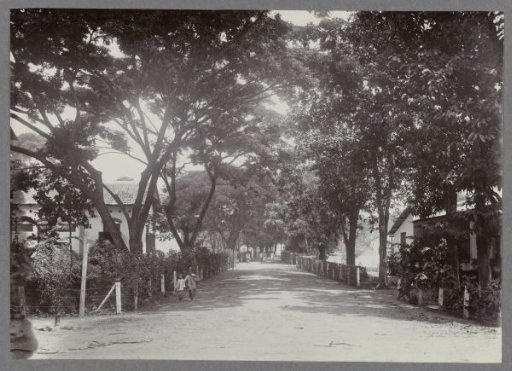 Road with houses