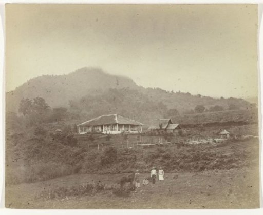 View of Djoengo (Coffee land) / Ardjoeng mountain range