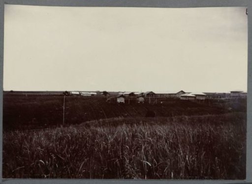 Camp on Open Plain