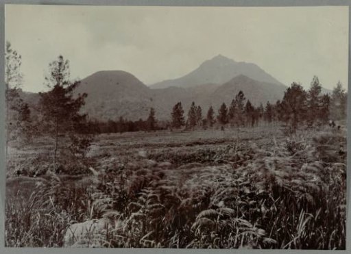 Landscape with Mountains