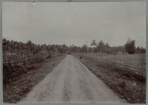 Beginning of the Gajoweg near Bireuen