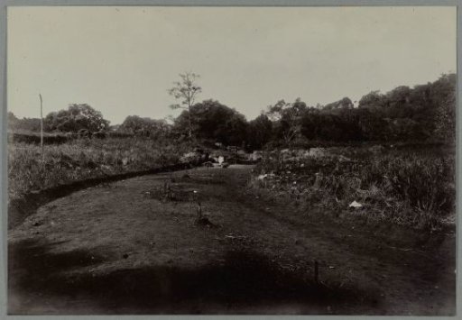 Construction of the road