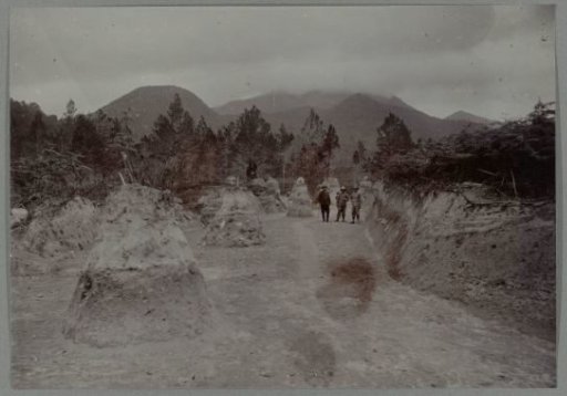 Excavated embankments along the road