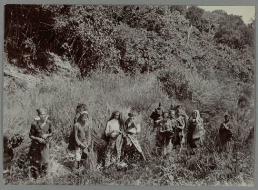 Group of Gajo's