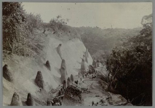 Excavated fossils in a hill