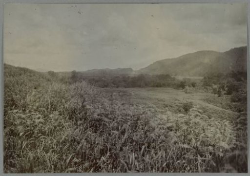 Flat land