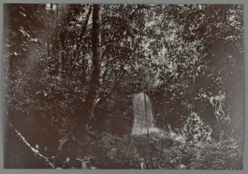 Waterfall in the forest