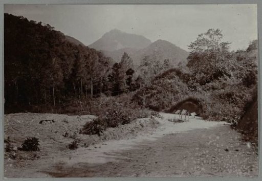 Construction of the road near Boer ni Poepandji