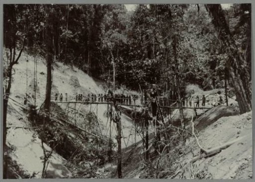 Emergency bridge over a ravine