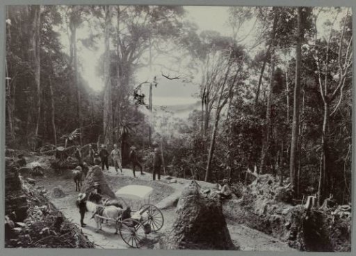 View of the lake from Boer ni Poepandji