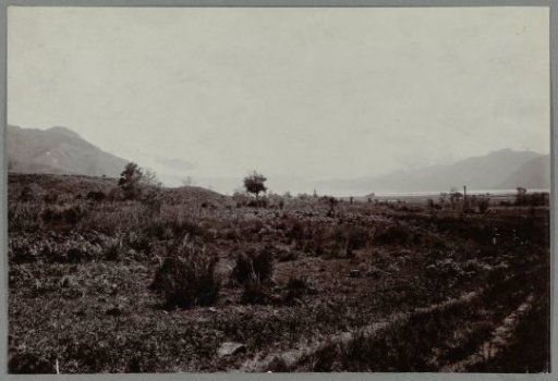View of the lake