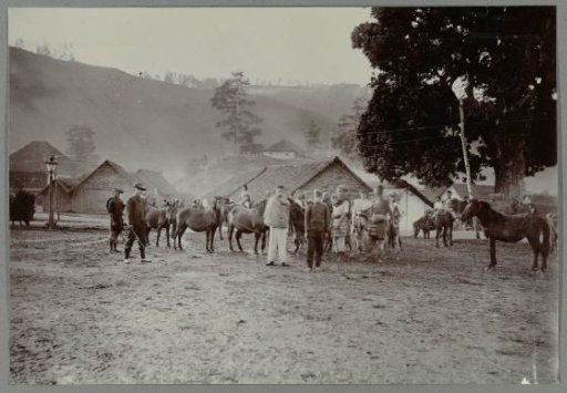 Horse market at Takinguen