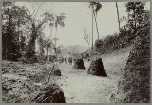 Road work with fossils