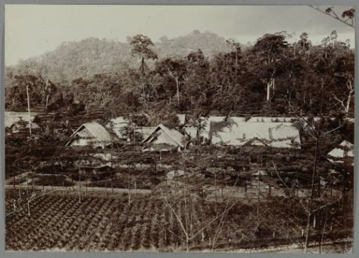 Camp in Krueng Seumpo