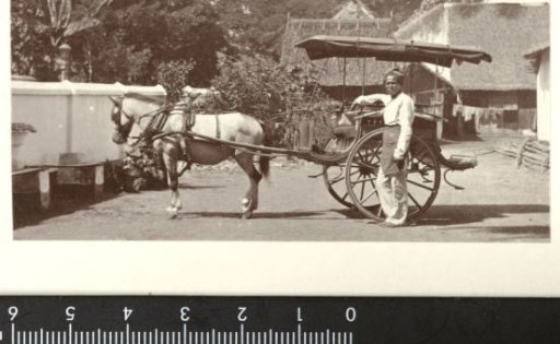 Coachman with carriage