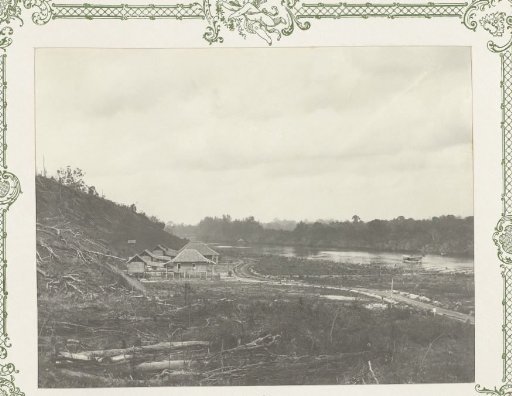 Terrain with felled trees