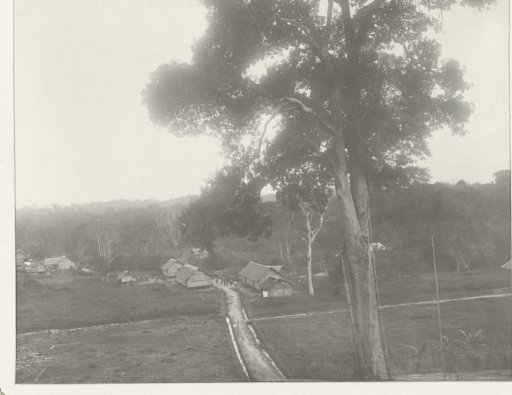 Houses along a road
