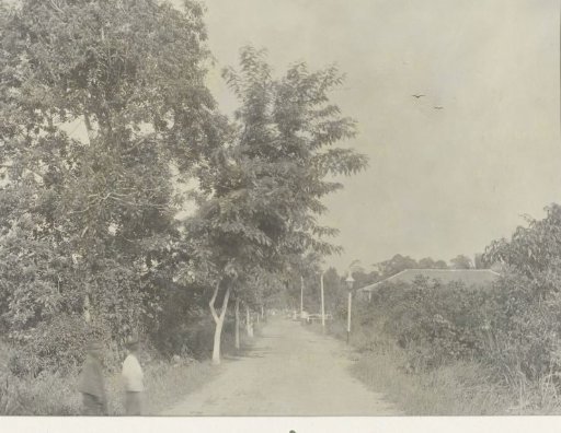 View in a Village