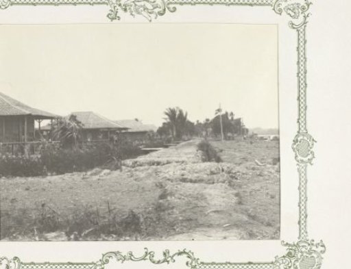 Houses Along a Road