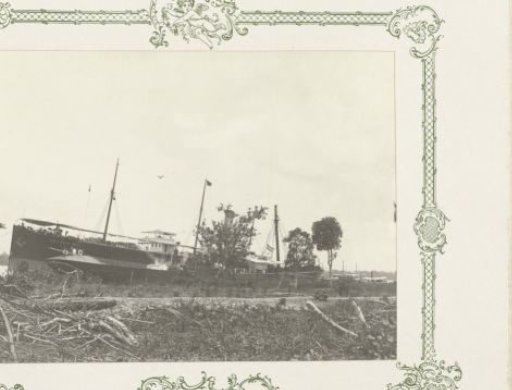 Steamship Haliotis
