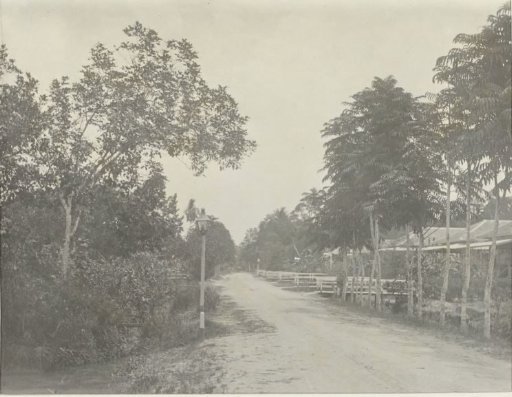 Road Through a Village