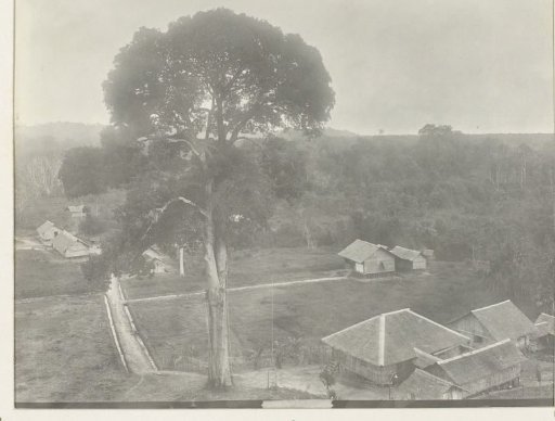 Dwellings of a village
