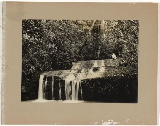 Waterfall in the Forest