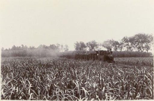 A Sugar Locomotive of the Nederlandsch-Indische Spoorwegen