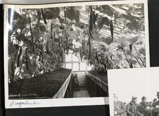 Vegetable greenhouse / Frenchmen. Serbian uniforms