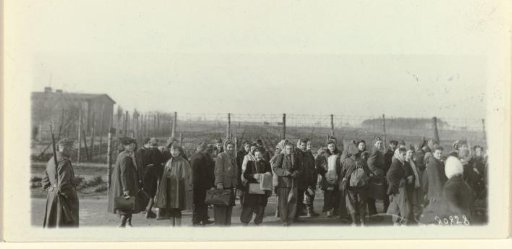 Arrival of Polish Female Prisoners in the Camp