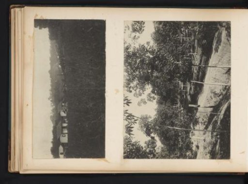 Houses and rubber trees