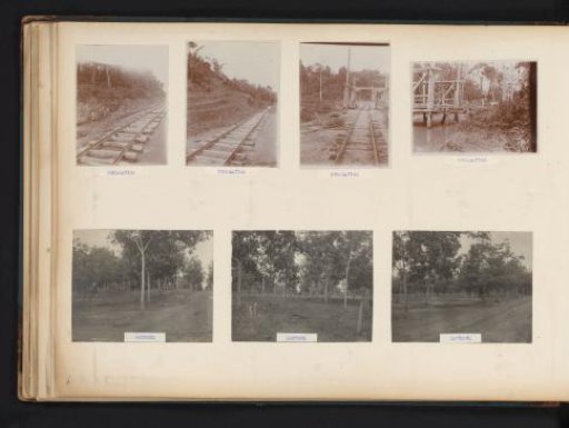 Narrow-gauge railway and rubber trees