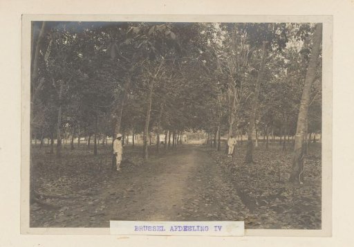 Brussels Section IV