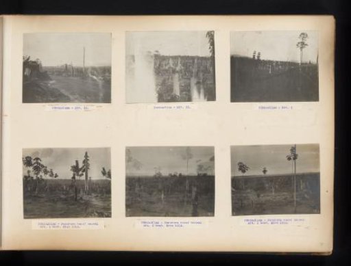Fields and first planting